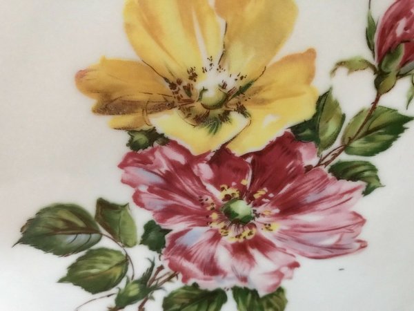 Altes Sammelgedeck Kaffeegedeck mit floralem Dekor und Goldrand Bodenmarke Krone